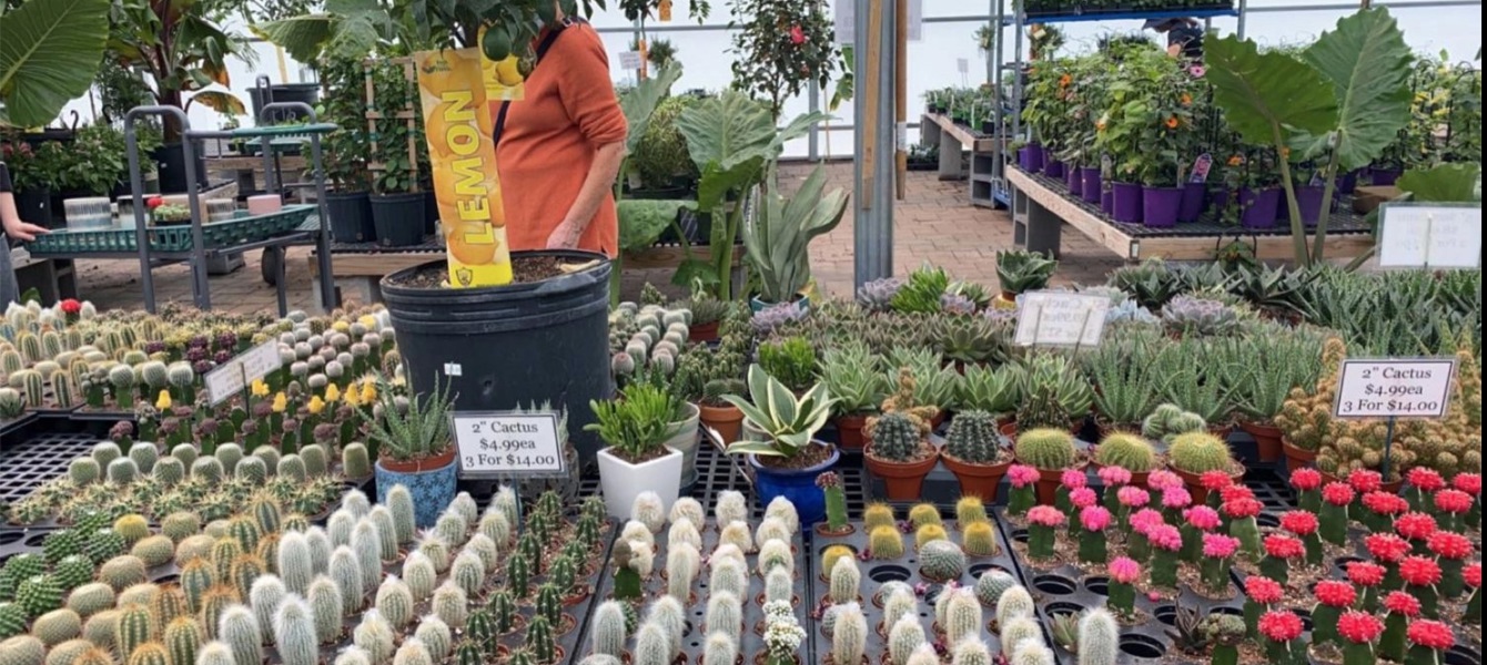 6286bb74b6967018e428622a_Screen Shot 2022-04-13 at 13.28.16