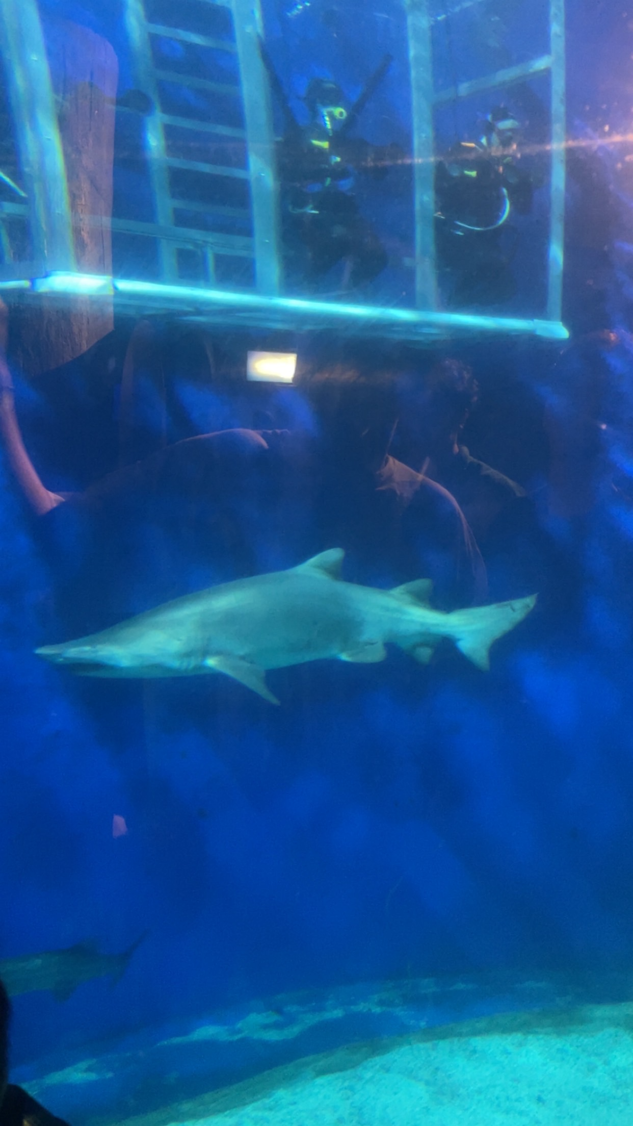 Group of people celebrating on stage