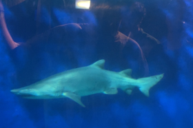 Group of people celebrating on stage