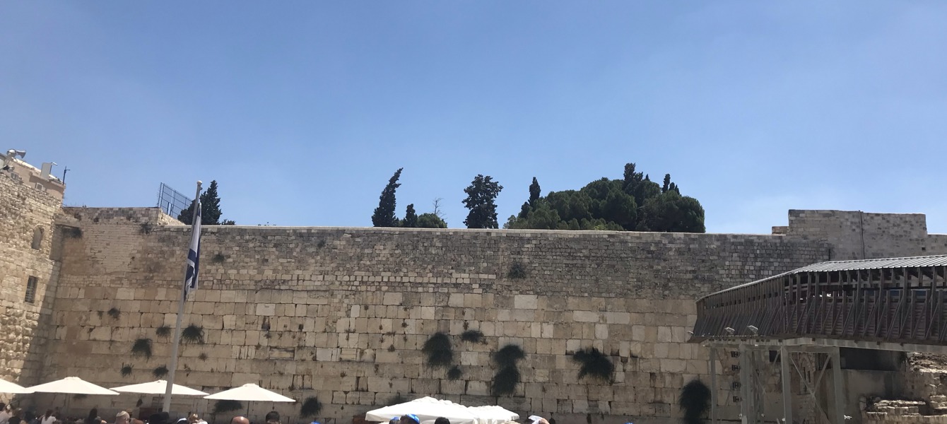 5dd6fb2515de6a09a8dcb7f3_IMG-4332