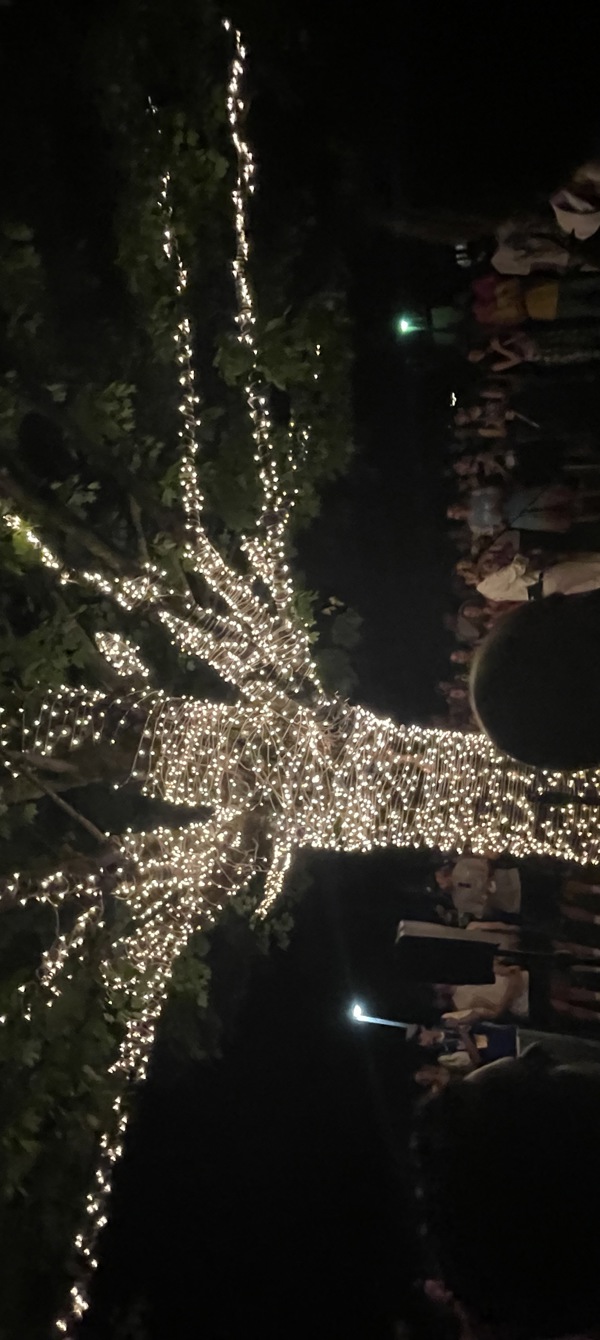 6863f4617dc2bba6df4eb719_IMG_7952