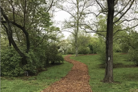 Group of people celebrating on stage