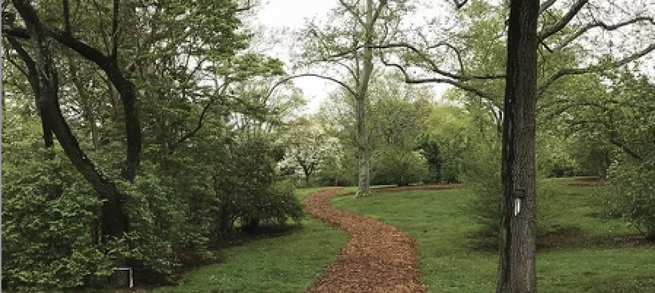 65df49e5295d1c2b4695c759_Screenshot 2024-02-28 at 9.57.32 AM