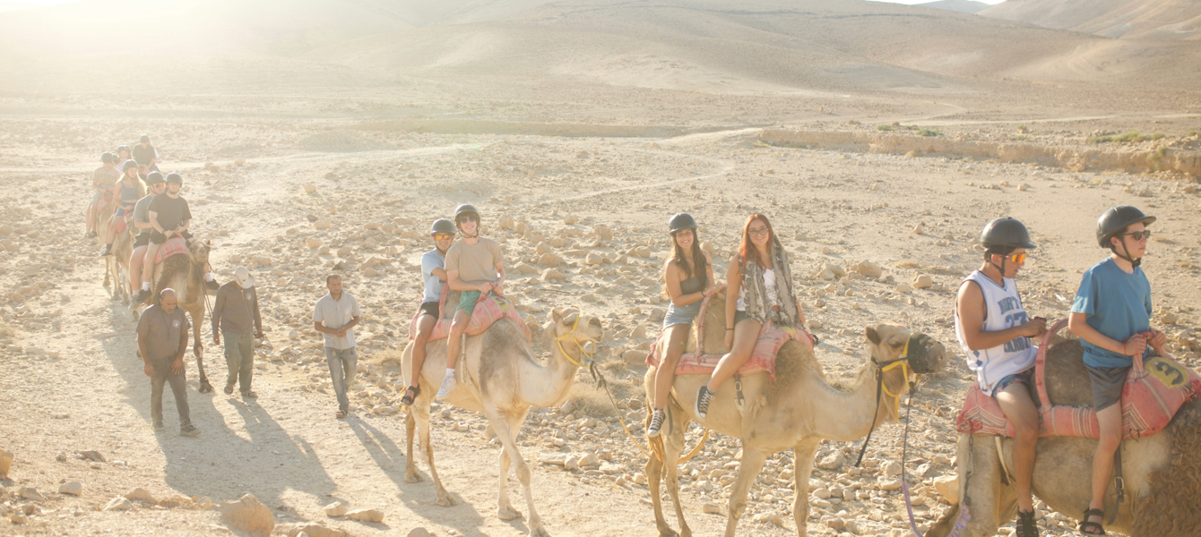 6793fcce4def60eb9ebfac54_Adobe Express - file