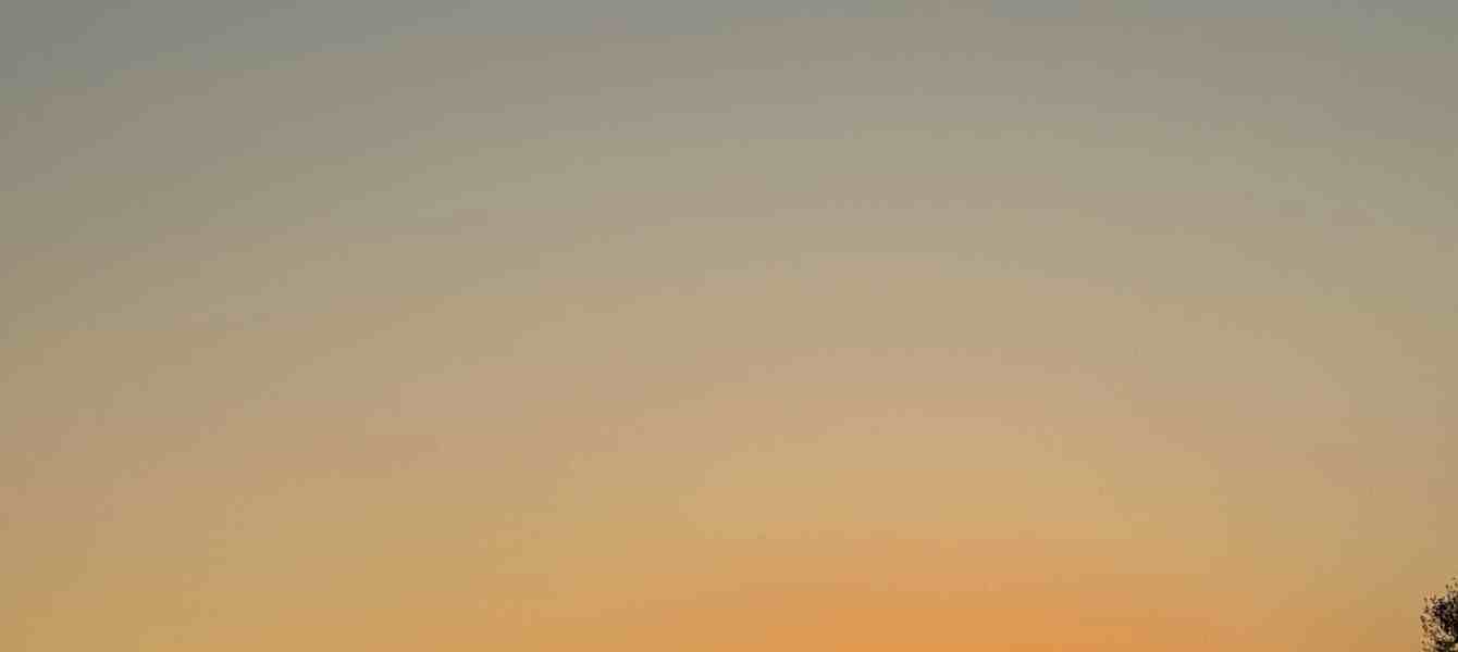 6877cf17cf55357d107af007_IMG_7095