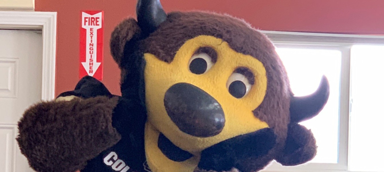 5c6a17ece0a955371cf243d4_IMG4551758417783927386~2