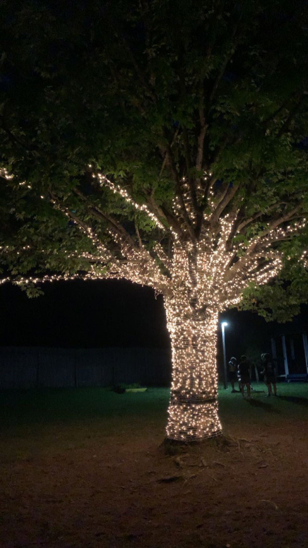 Group of people celebrating on stage