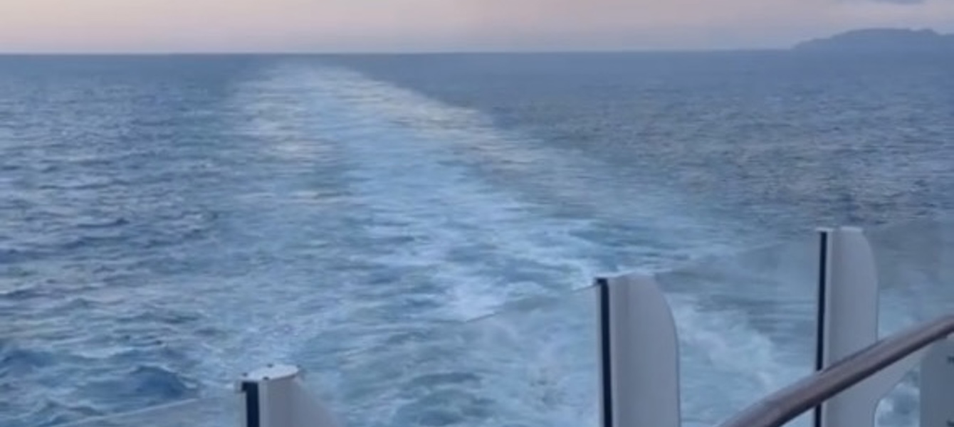 65fb0da3cff798c5f48b8a7c_IMG_6585