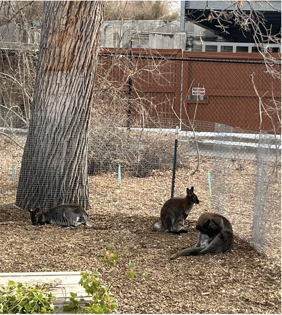 Group of people celebrating on stage
