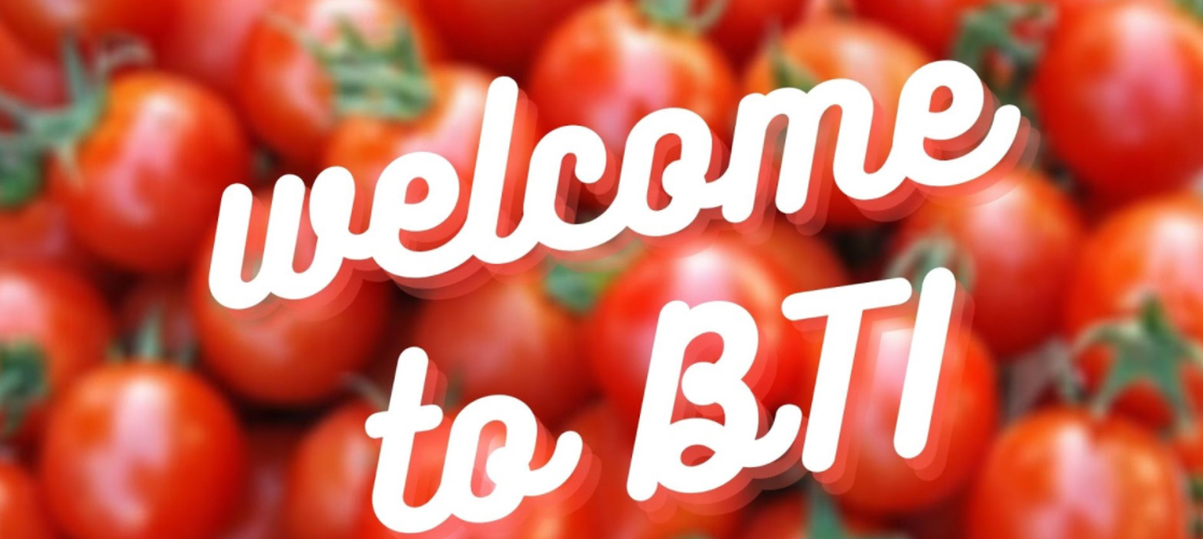 603e65181cae8d816667bd75_Jamie McManmon- Submission III Main Image