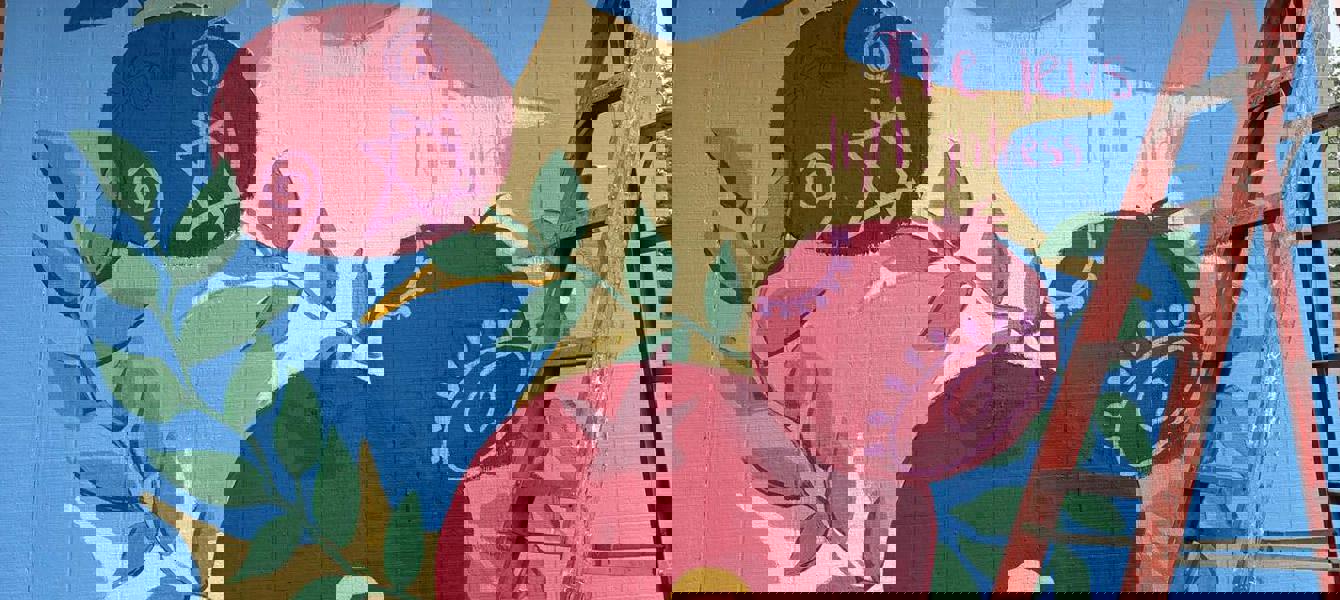 6895ec0e9369e99602a6f7c8_Picture for post[53]