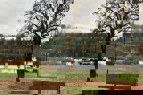 Group of people celebrating on stage