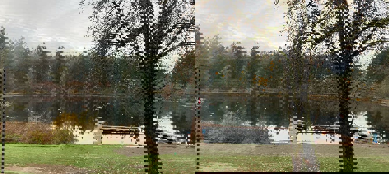 67bf3404ab48aedaafb9da0b_20241117_183757_32665F 2