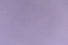 Group of people celebrating on stage