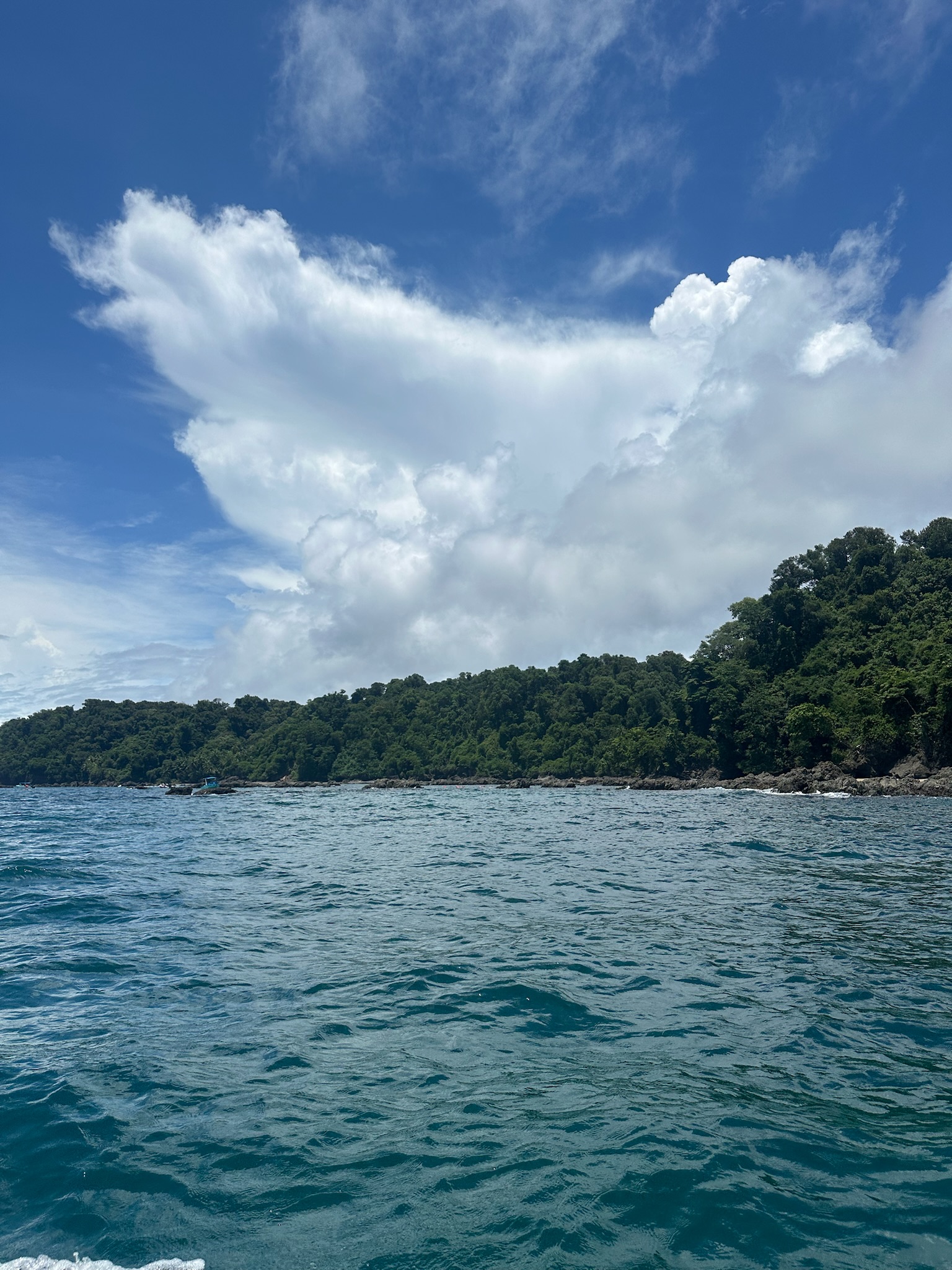 Group of people celebrating on stage