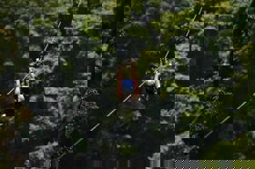 Group of people celebrating on stage