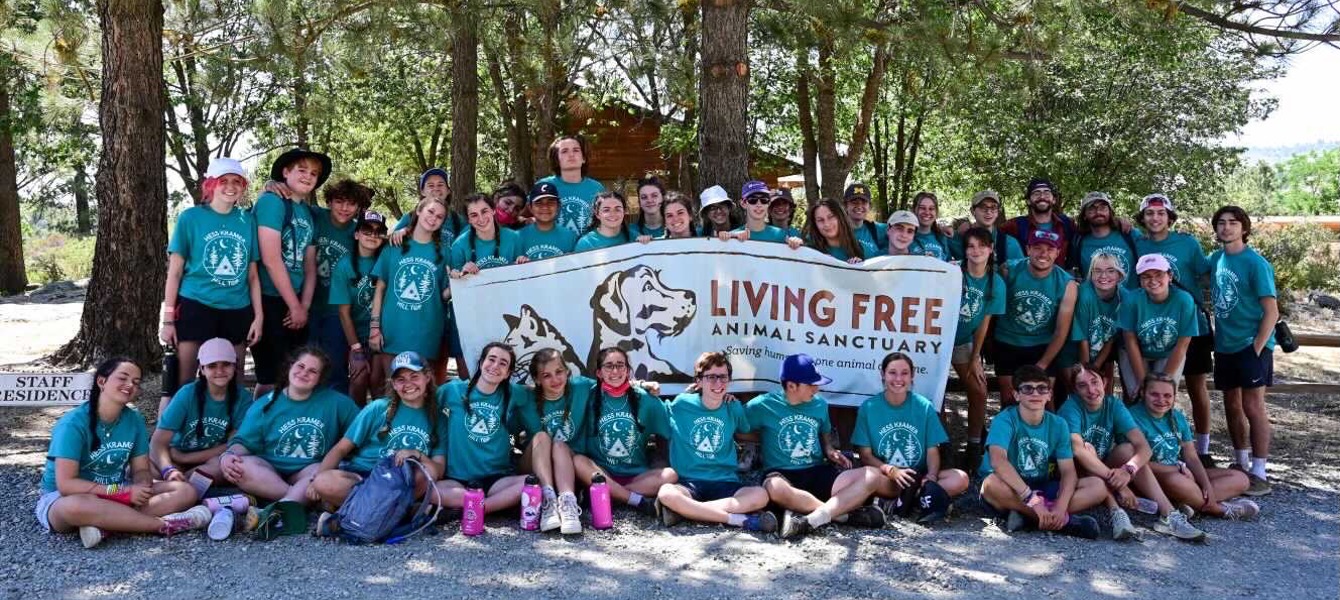 6491cf7b8ff764176893ef11_75DD374E-A012-4E6F-9FE2-E9A9246035BE